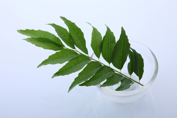 ニーム 虫除け