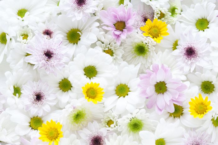 法事 供花イメージ