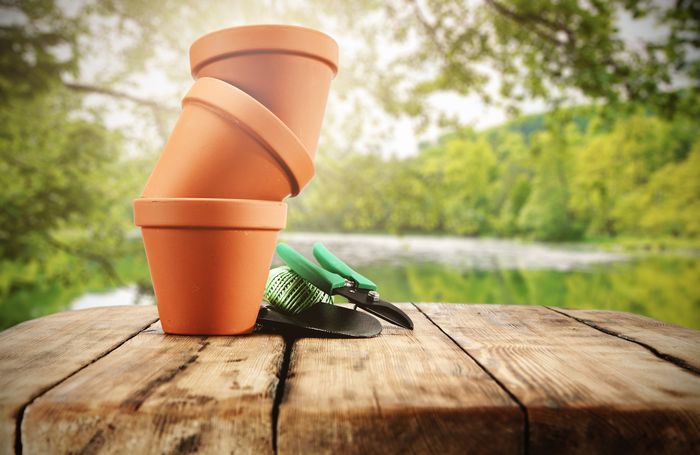 植え替えに必要なもの イメージ