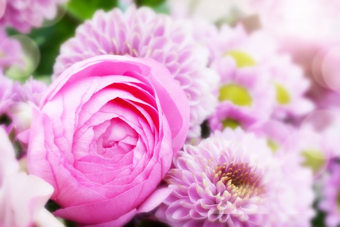 送別の花束 イメージ