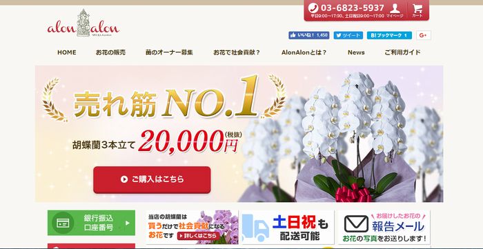 胡蝶蘭の通販サイト アロンアロン