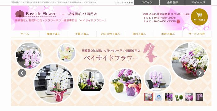 胡蝶蘭の通販サイト ベイサイドフラワー