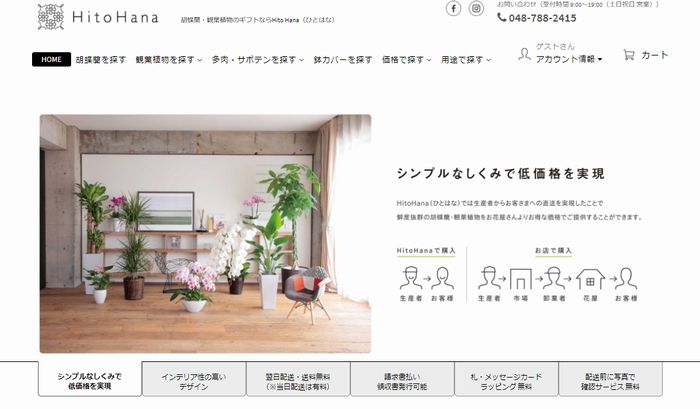 胡蝶蘭の通販サイト ひとはな