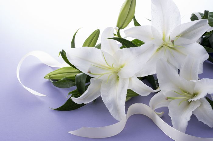 法要に向いている花 ユリ
